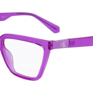 Gafas oftálmicas Calvin Klein CKJ23648 540