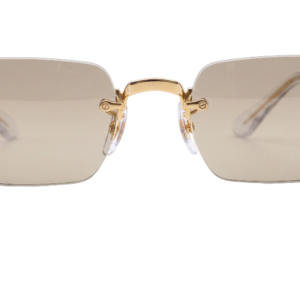 Gafas de sol RB3928 BY A$AP ROCKY